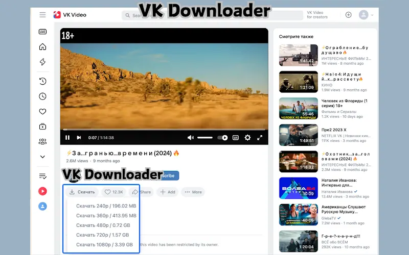 VK Video Downloader para Chrome